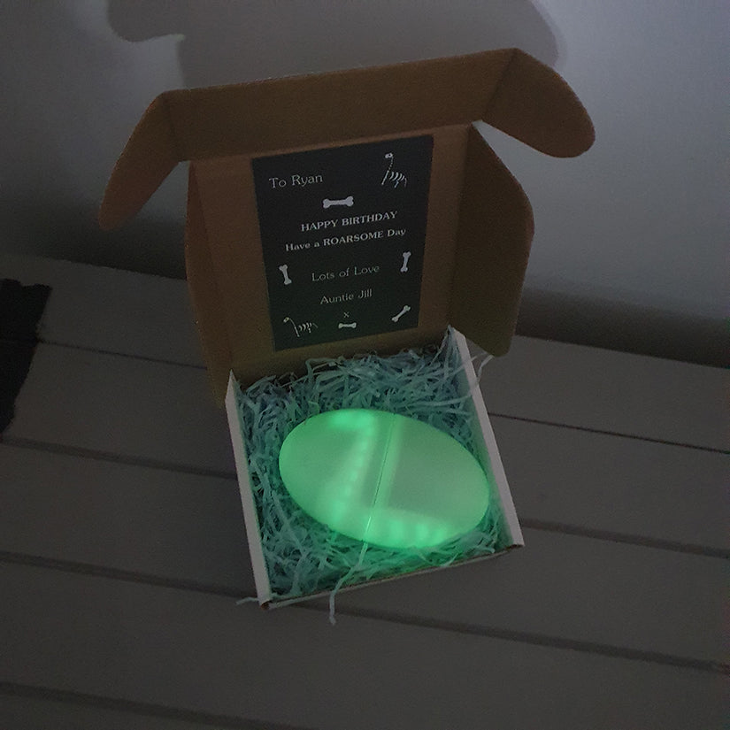 dinosaur t-shirt in a glow in the dark egg