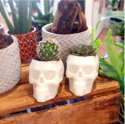 Cactus or Succulent Glow in the Dark Skull