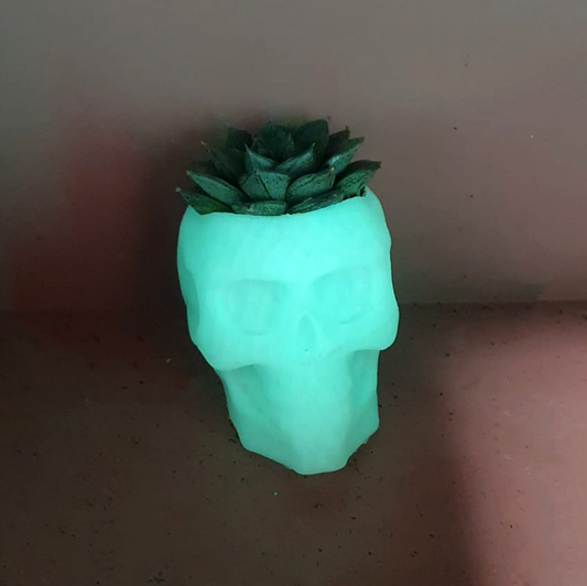 Cactus or Succulent Glow in the Dark Skull
