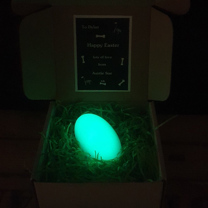 Dinosaur T-Shirt In A Glow In The Dark Egg