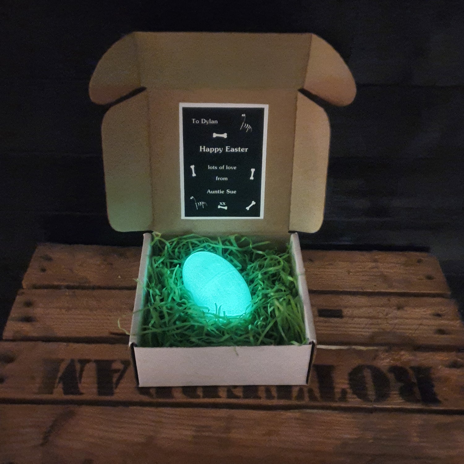 Glow in the dark Egg Gift